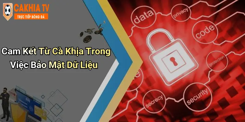 Cam Kết Từ Cà Khịa Trong Việc Bảo Mật Dữ Liệu