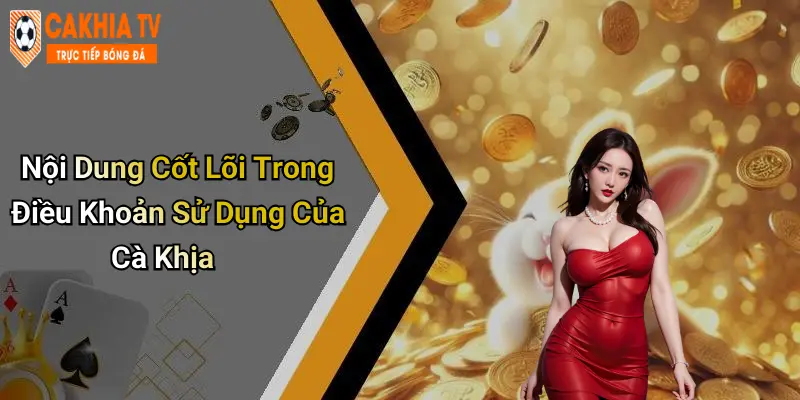 Nội Dung Cốt Lõi Trong Điều Khoản Sử Dụng Của Cà Khịa