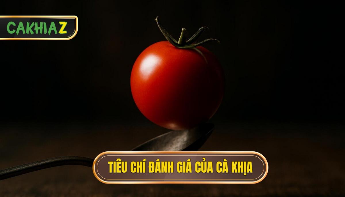 Tiêu Chí Đánh Giá Của CÀ KHỊA_ Không Chỉ Là Ghi Bàn